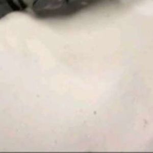 Meet your Posher, Miles